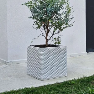 moderno betonsko korito serenity